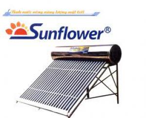 Hướng Dương SunFlower 24 ống D58